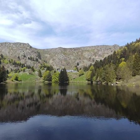 Aux Balcons De La Vallee Soultzeren Szoba fotó