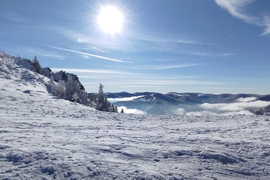 Aux Balcons De La Vallee Soultzeren Kültér fotó