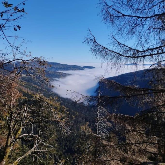 Aux Balcons De La Vallee Soultzeren Kültér fotó