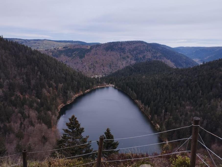 Aux Balcons De La Vallee Soultzeren Kültér fotó