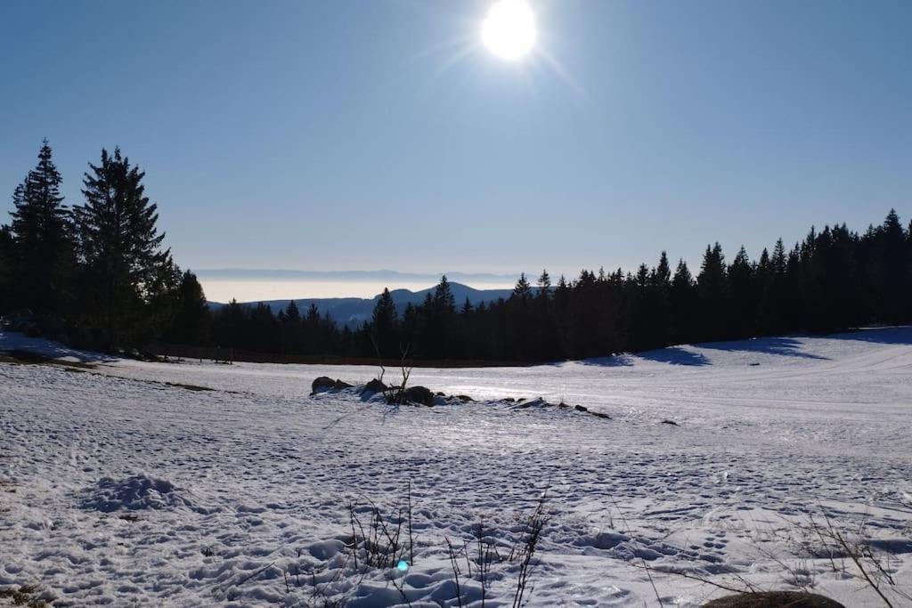 Aux Balcons De La Vallee Soultzeren Kültér fotó