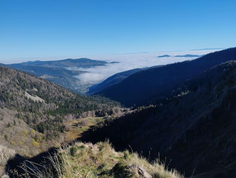 Aux Balcons De La Vallee Soultzeren Kültér fotó