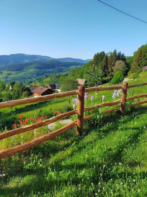 Aux Balcons De La Vallee Soultzeren Kültér fotó