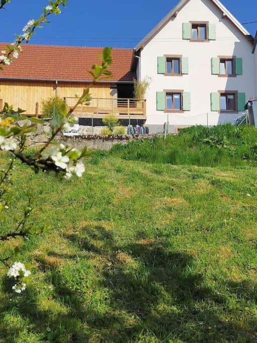 Aux Balcons De La Vallee Soultzeren Kültér fotó
